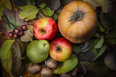 Similar image 21219806