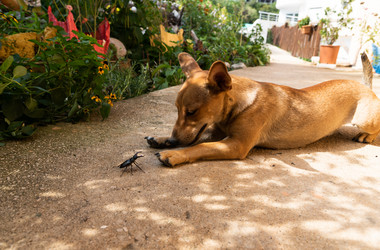 Similar image 21233806