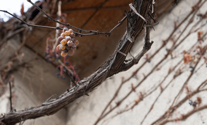 Similar image 21233816