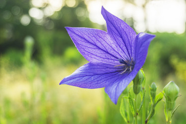 Similar image 21216722