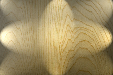 Similar image 21216725