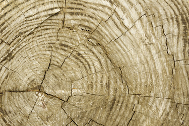 Similar image 21216729