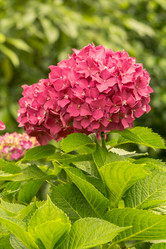 Similar image 21216732