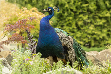 Similar image 21216733