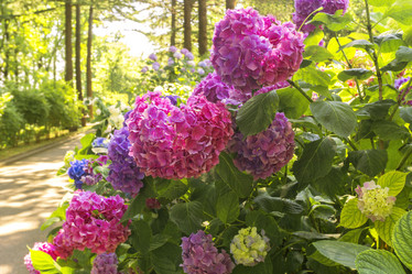 Similar image 21216734