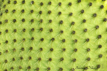 Similar image 21216739