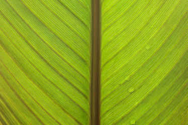 Similar image 21216741