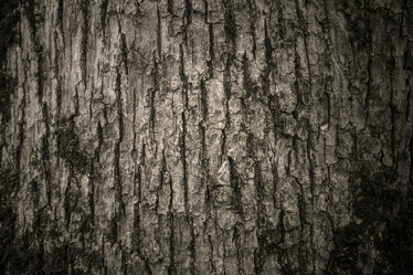 Similar image 21216743