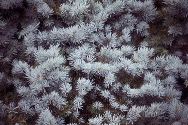 Similar image 21216751