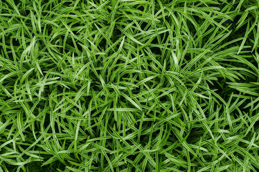 Similar image 21216752