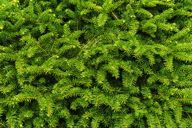 Similar image 21216755