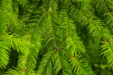 Similar image 21216756