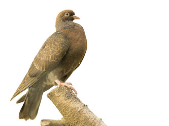 Similar image 21216757