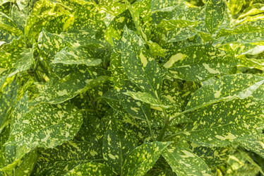 Similar image 21216760