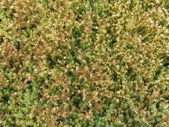 Similar image 21216761