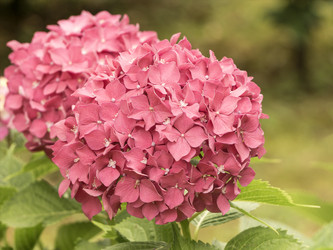 Similar image 21216762