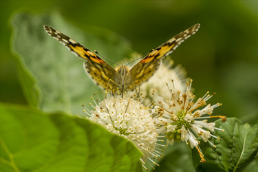 Similar image 21216769