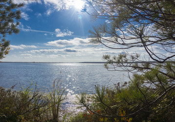 Similar image 21216770