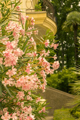 Similar image 21216780