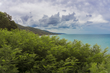 Similar image 21216782