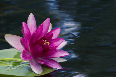 Similar image 21216786