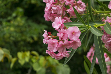 Similar image 21216788