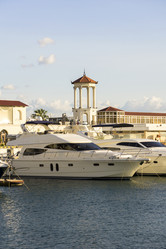 Similar image 21216792