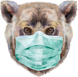 Similar image 21222861