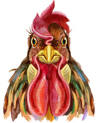 Similar image 21223116