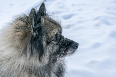 Similar image 21214191