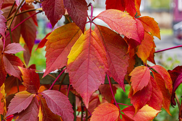 Similar image 21214205