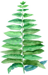 Similar image 21242254