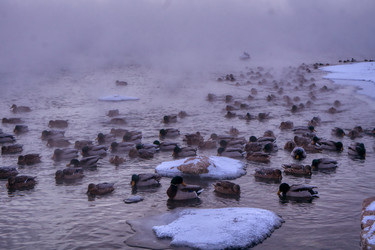 Similar image 21216327