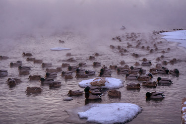 Similar image 21216336