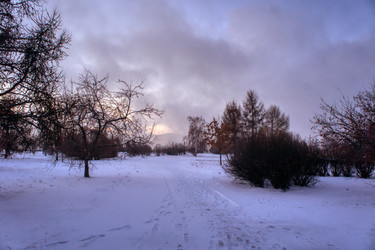 Similar image 21216341