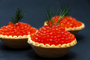 Similar image 21213813