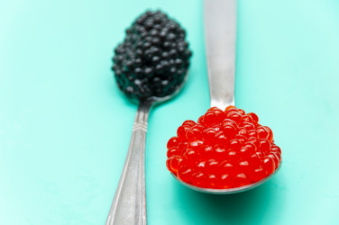 Similar image 21213818