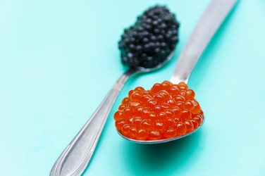 Similar image 21213819