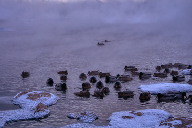 Similar image 21216356