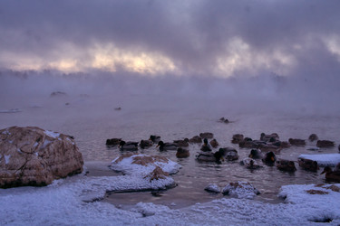 Similar image 21216358