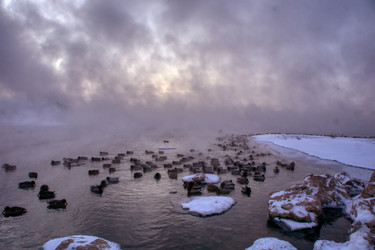 Similar image 21216361