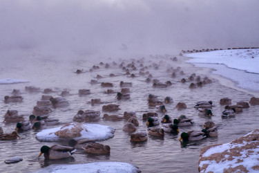 Similar image 21216362