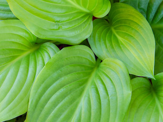 Similar image 21221861