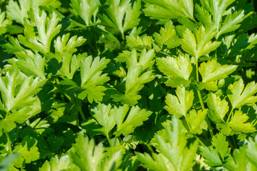 Similar image 21221863