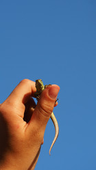 Similar image 21221865