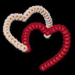 Similar image 21221866