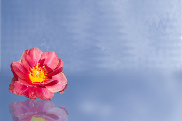 Similar image 21221867