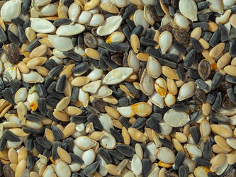 Similar image 21221869