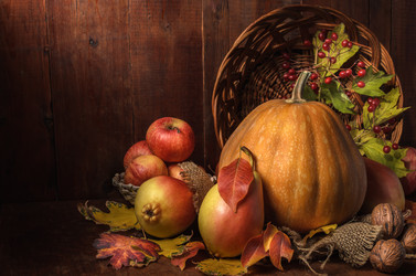 Similar image 21219691