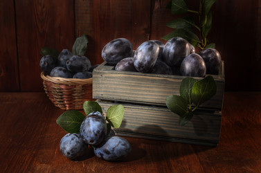 Similar image 21219818